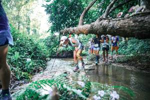 BIB: 
                            <button type="button" onclick="openModal(25444476)" class="btn btn-primary btn-sm float-right btn-popup" data-toggle="modal" data-target=".modal-high-quality">
                        <i class="fas fa-shopping-cart"></i> Add to Cart
                    </button>
                                            <button type="button" onclick="isThisMe(25444476, true)" class="btn btn-success btn-sm float-right btn-popup btn-isme hidden" data-toggle="tooltip" data-placement="bottom" title="นี่คือรูปของคุณใช่ไหม คลิกที่นี่เพื่อเอาเข้าอัลบั้ม">
                        <i class="fas fa-plus"></i> Add to album
                    </button>
                    <button type="button" onclick="isThisMe(25444476, false)" class="btn btn-warning btn-sm float-right btn-popup btn-isnotme hidden">
                        <i class="fas fa-ban"></i> Remove from album
                    </button>